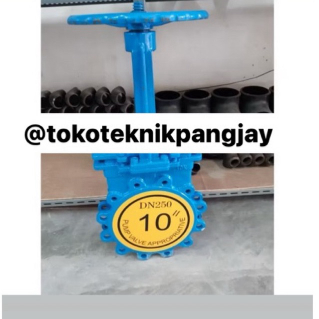 Knife Gate Valve 10 inch WCB Disc SS 304