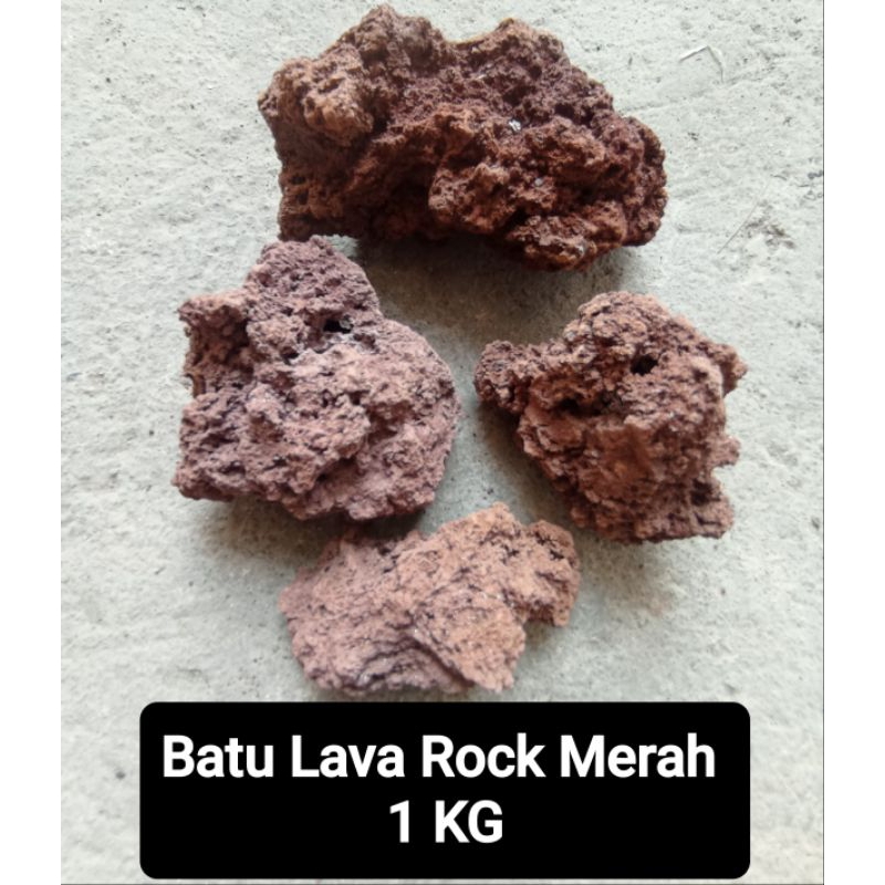 Batu Lavarock 1 Kg Aquarium Aquascape, Lava rock Media Filter Hardscape Air Terjun Aquascape