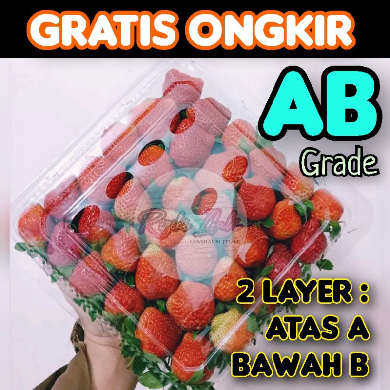 

1KG FRESH STRAWBERRY SEGAR MENCIR GRADE AB BESAR BANDUNG MURAH GROSIR