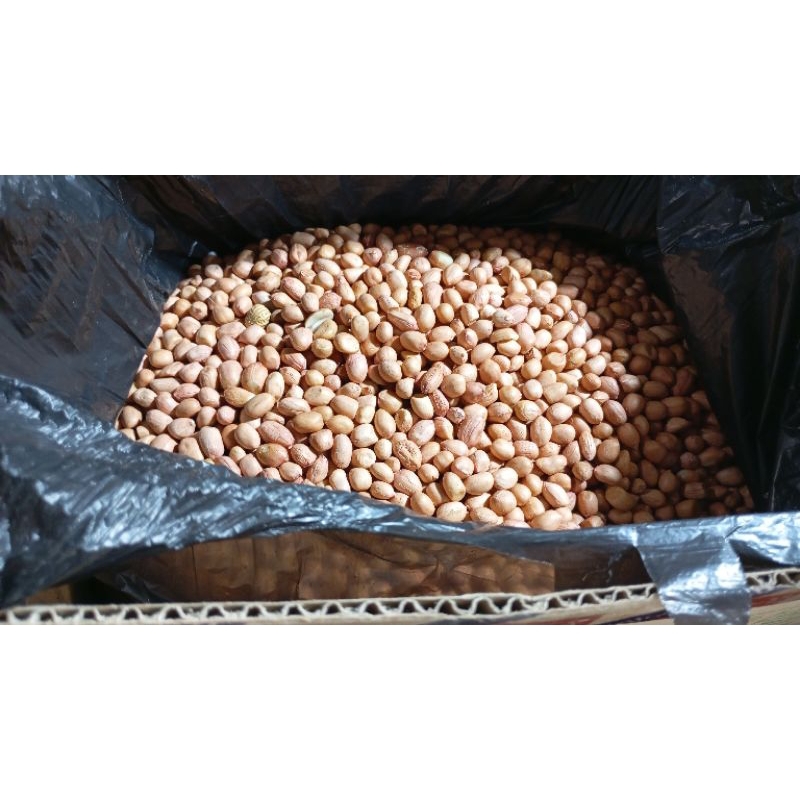 

KACANG TANAH 250 GR