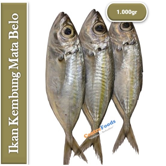 

Ikan Kembung - Mata Belo Fresh | 1.000gr [ Harga Per KG ]