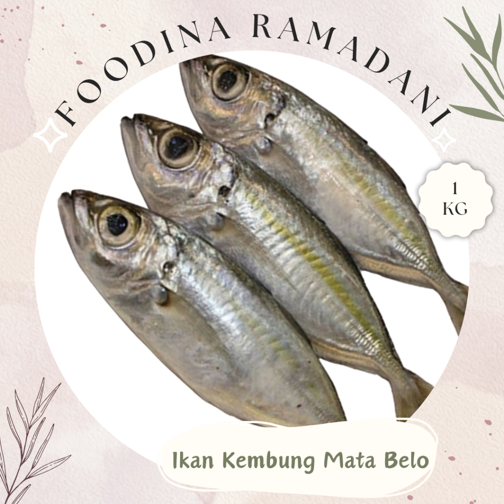 

IKAN KEMBUNG Mata Belo - Mackerel Fish Fresh [ Berat 1.000gr ] Harga Per KG