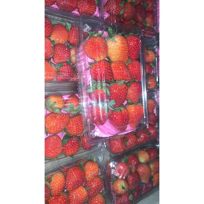

BUAH STRAWBERRY FRESHH SEGARRRRR 250 gram mantappp.