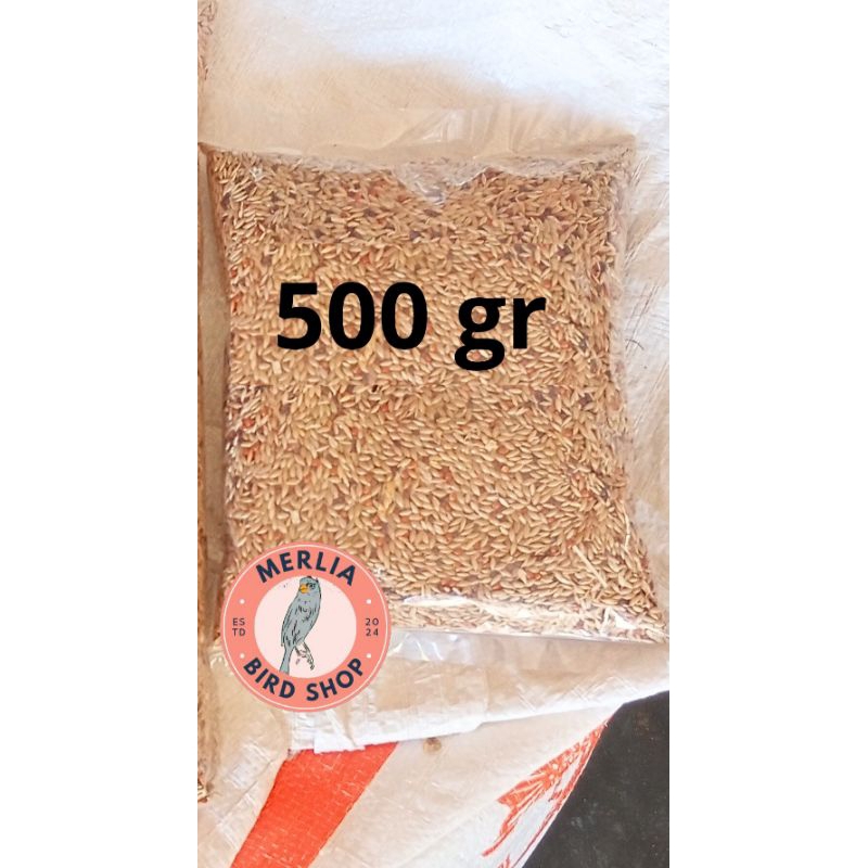 Pakan Kenari CAMPUR 500gr/Pakan Kenari Kiloan 500gr/Pakan Burung Kenari/Pakan Burung Kiloan