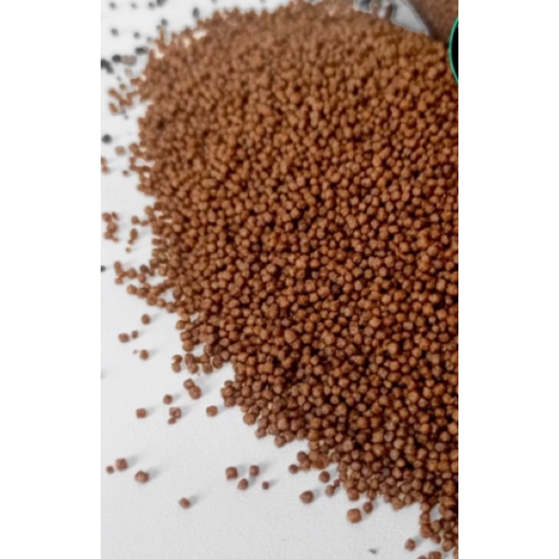 PF 1000 pakan lele bibit benih ikan