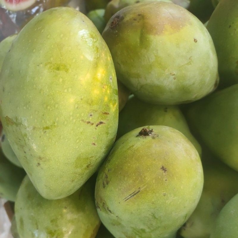 

mangga harumanis 1kg