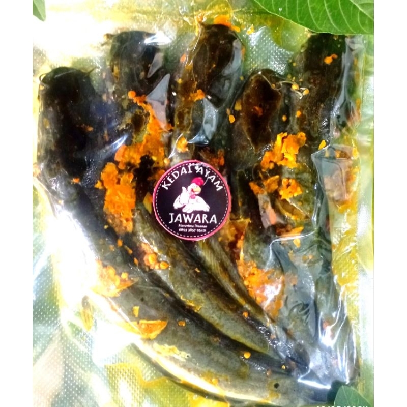 

Lele marinasi bumbu rempah