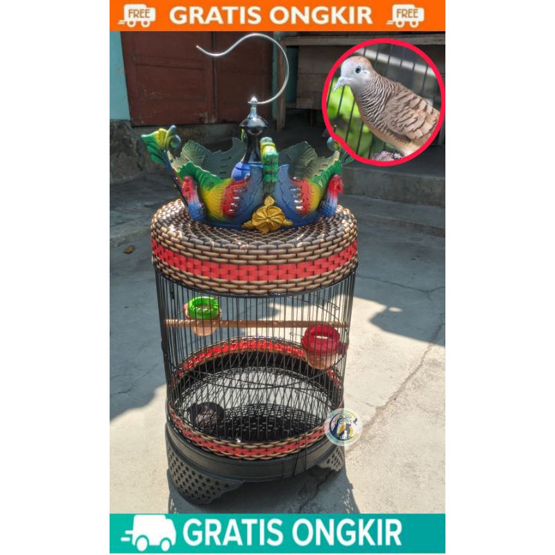 SANGKAR BURUNG PERKUTUT RAM BESI FULLSET