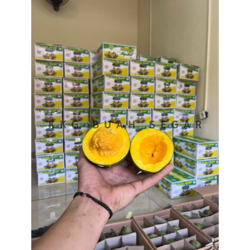 

Mangga Alpukat / Mangga Bangil / Mangga Manis / Mangga Alpukat Bangil / Mangga Alpukat Dus