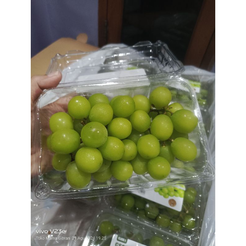 

Anggur Shine Muscat