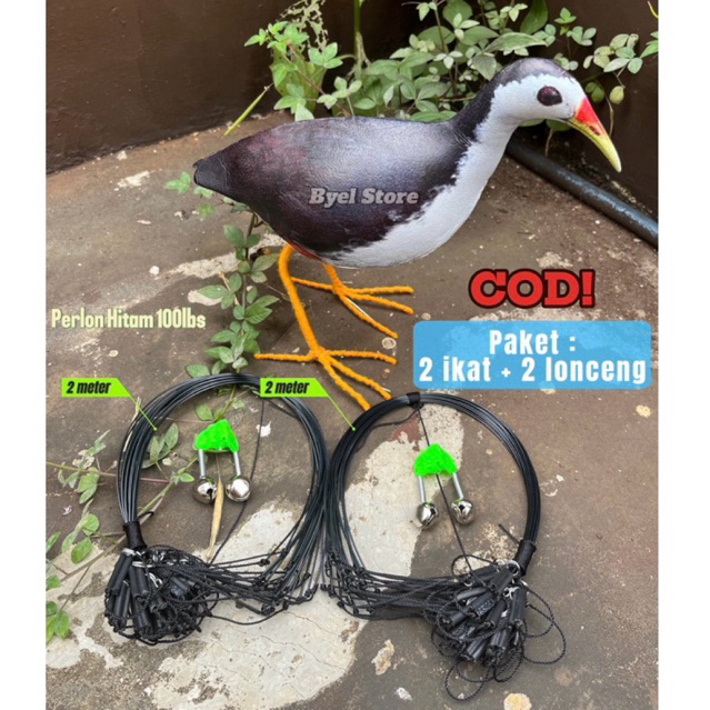 Paket Jerat + Burung Ruak Ruak Kareo Padi - truwok kareo sawah