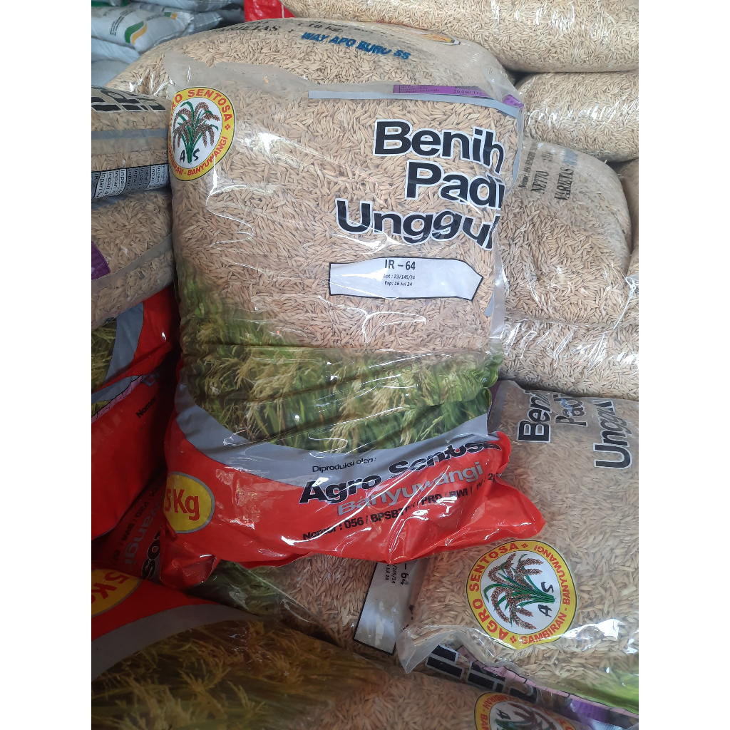 Benih Padi Unggulan IR-64