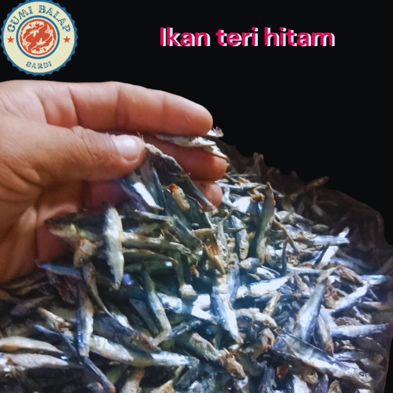 

ikan teri batu/ikan teri hitam berkualitas