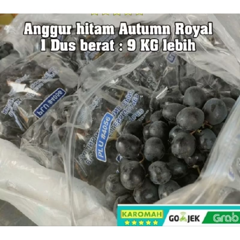 anggur hitam chili premium 1 dus 9kg pasar samarinda