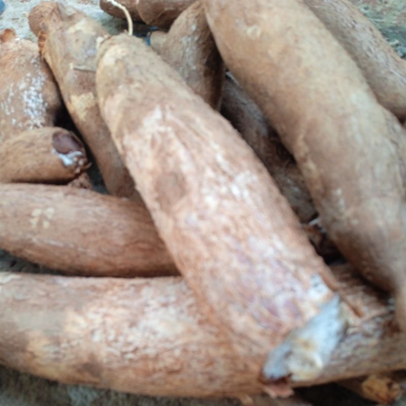 

telo rempel 1kg