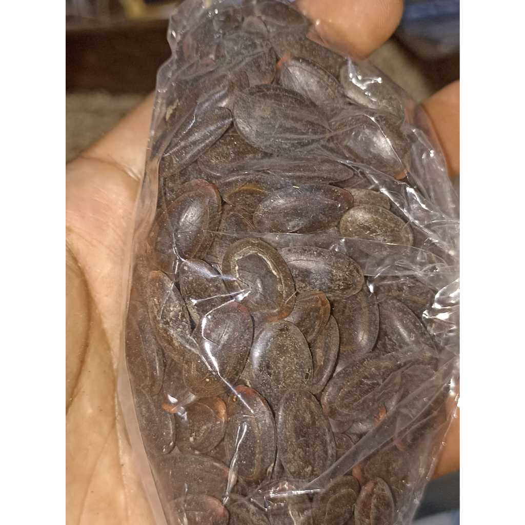 

BIJI KEDAUNG/KEDAWUNG KERING