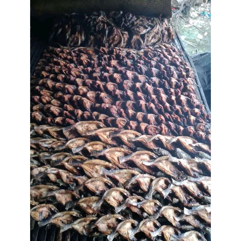 

RB IKAN ASIN SERBA 1 KILOGRAM/ CUMI ASIN IKAN ASIN NUSANTARA / KUALITAS PREMIUM