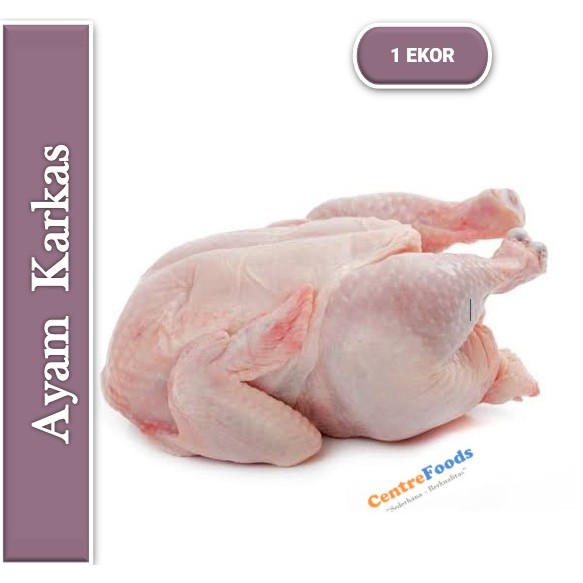 

Ayam Karkas Utuh - Ayam Broiler Fresh | Berat 1.4-1.6 Kg [ Harga Per EKOR ]