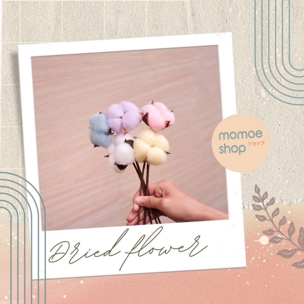 Flowers Dried cotton bunga kapas kering buket bouquet preserved bunga asli vintage dekorasi hiasan u