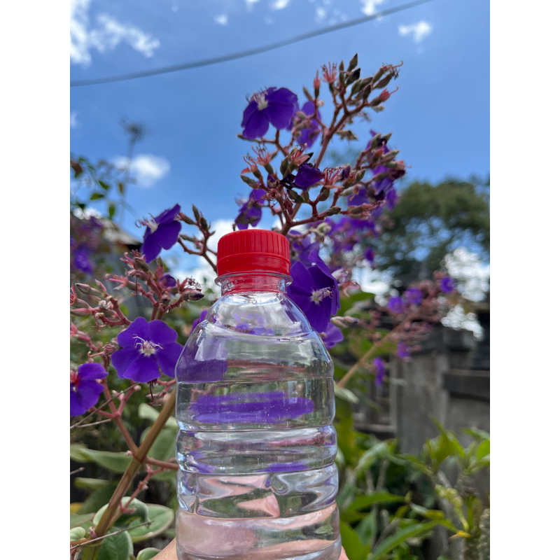 

Ramuan minuman herbal khas bali