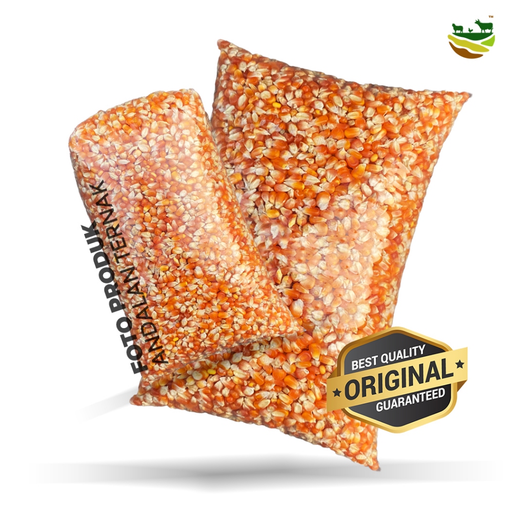 Jagung Kristal Super Grade A 1kg | Jagung Kristal Pakan Merpati dan Ayam