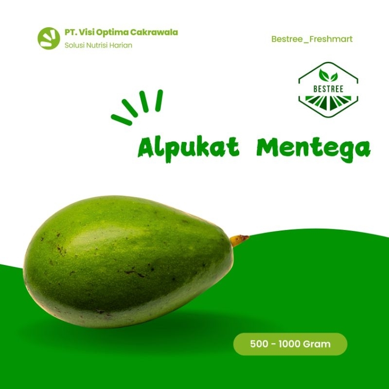 

Alpukat Mentega Lokal