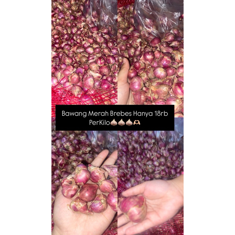 

bawang merah brebes 500gram