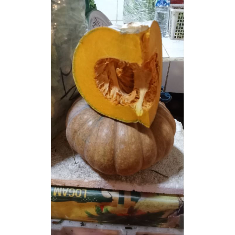 

labu kuning 1kg