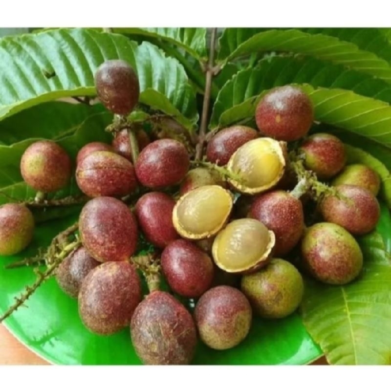 

buah matoa fres 3 rasa/kemasan 1kg
