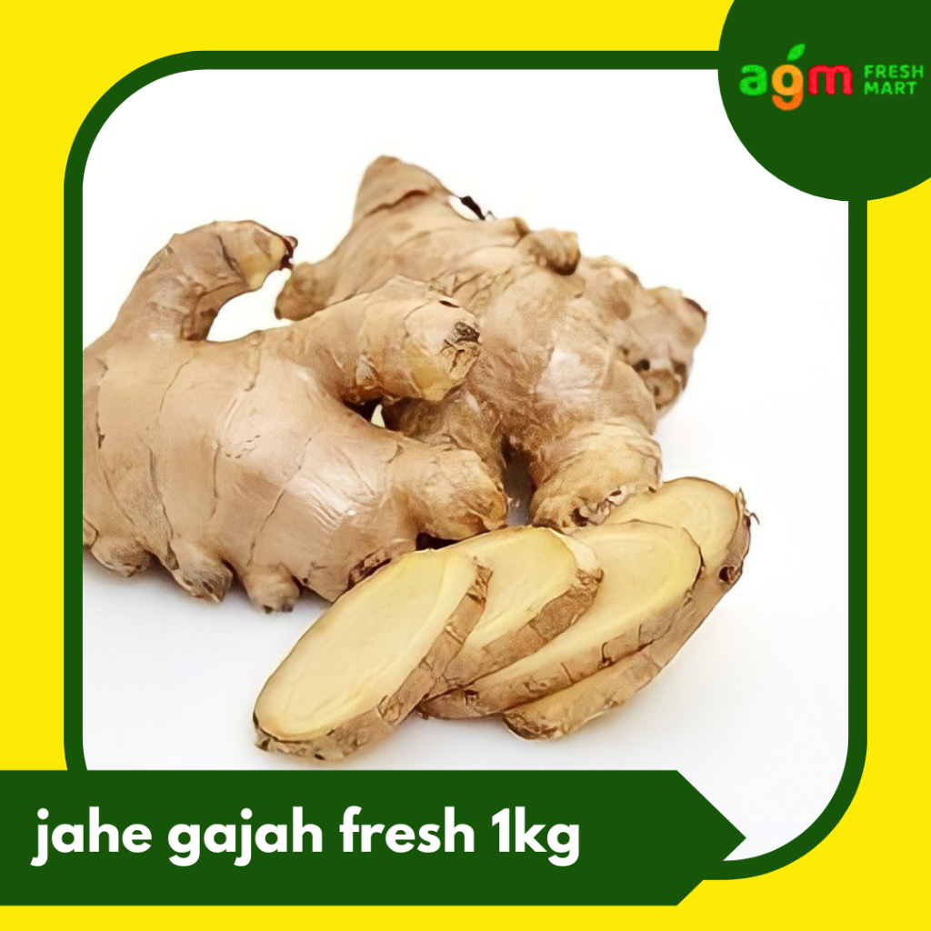 

jahe gajah fresh rempah jahe