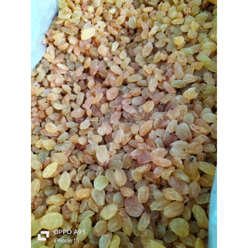 

READY PEKANBARU- KISMIS ARAB KRISTAL-KISMIS RAISIN 1KG- ANGGUR KERING-ASAM MANIS-OLEH² HAJI DAN UMRAH