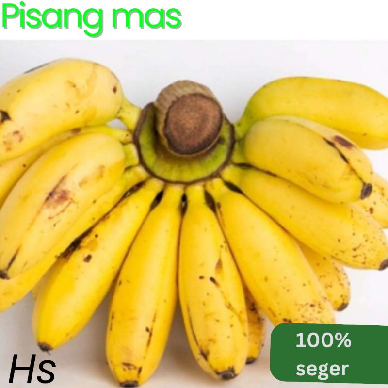 

pisang mas