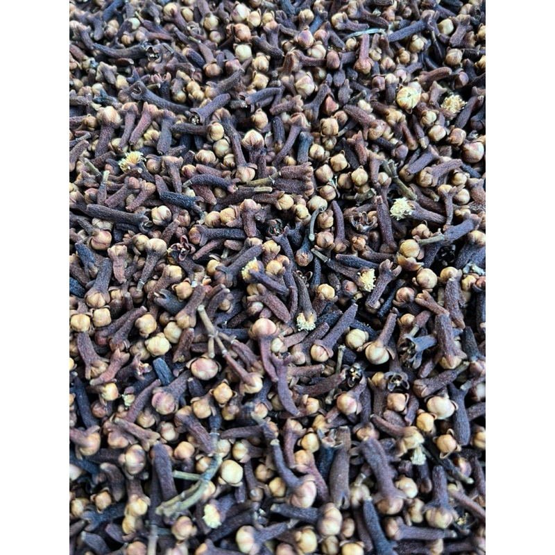 

Cengkeh Kering/Cloves/Rempah, Cengkeh Rempah Kering Clove