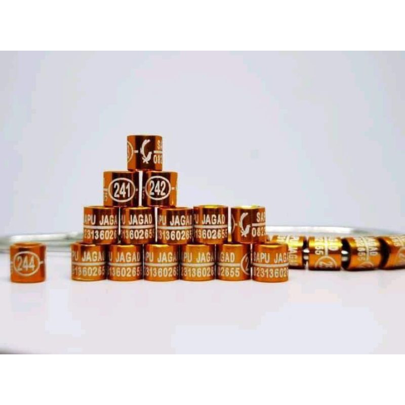 ring burung laser gt