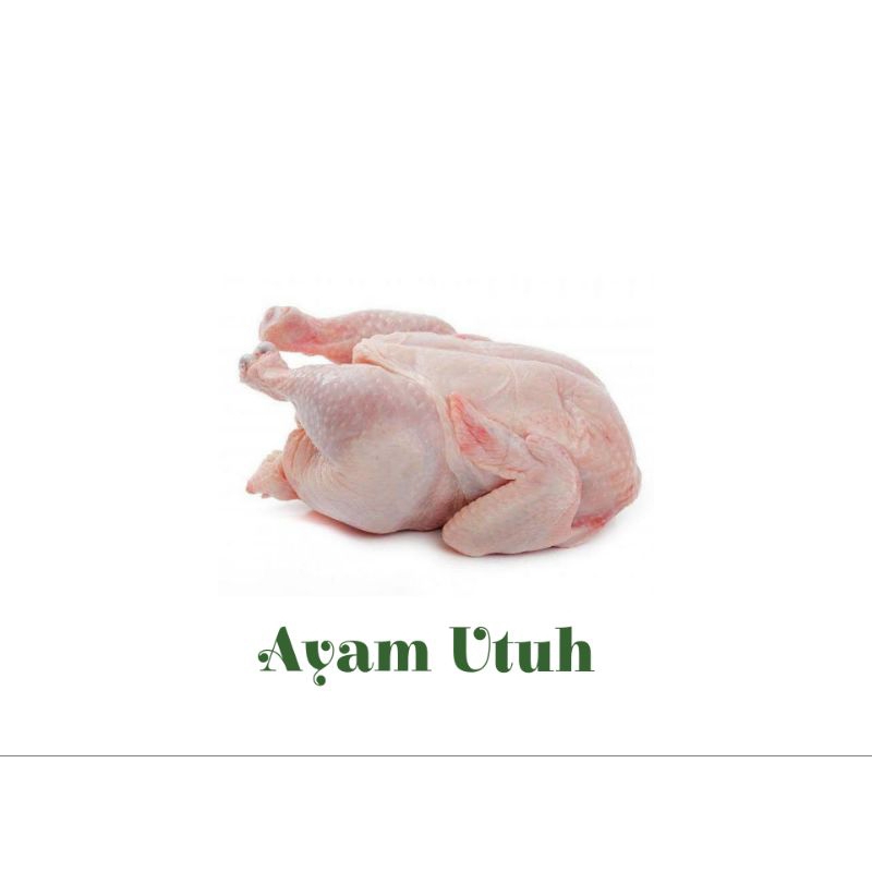 

Daging Ayam 1 Pack