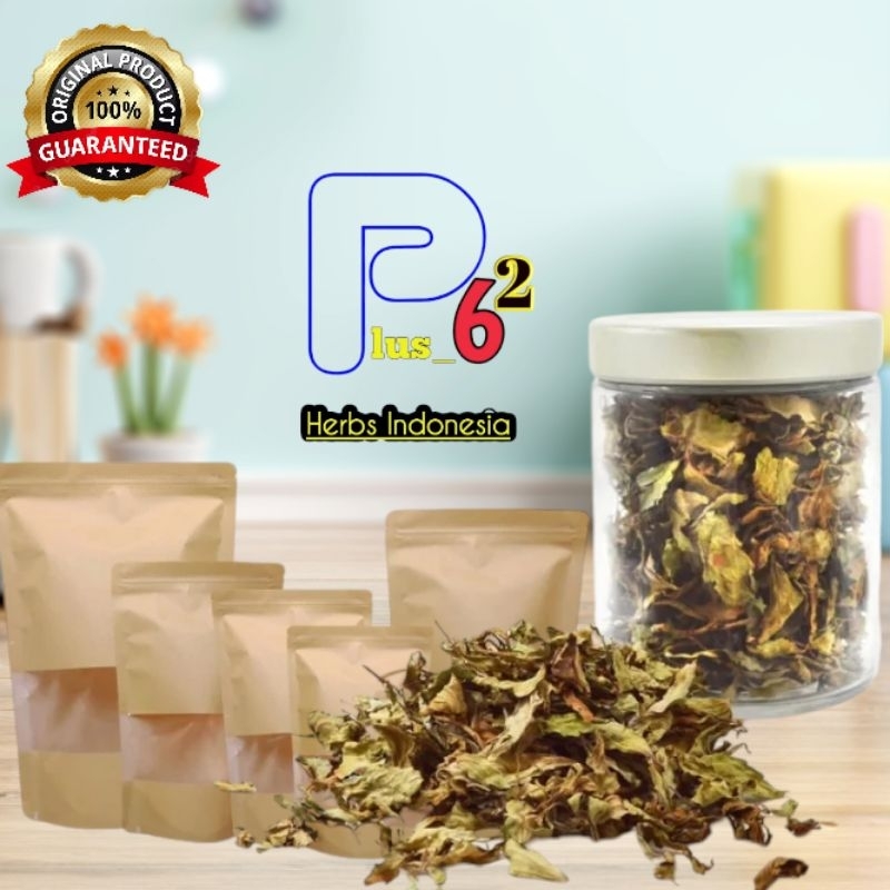 

Daun kumis kucing kering tanpa batang obat batu ginjal/kantong