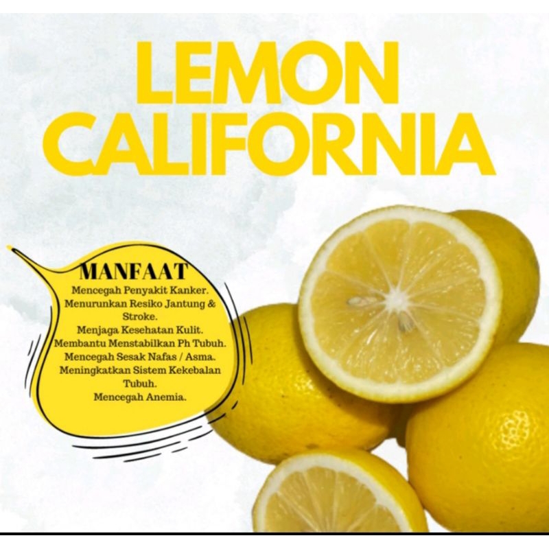 

JERUK LEMON CALIFORNIA || Fresh Langsung Dari Petani