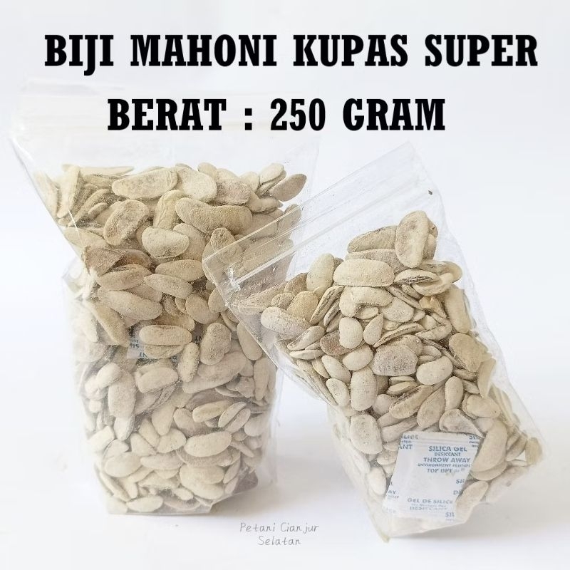 

Biji Mahoni Kupas 250gram | Xiang Tian Guo / Sky Fruits Herbal Obat Kolesterol