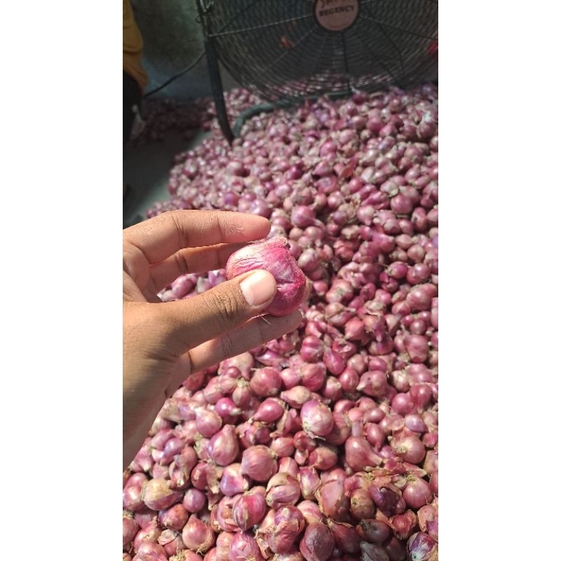 

bawang merah nganjuk 1 kg