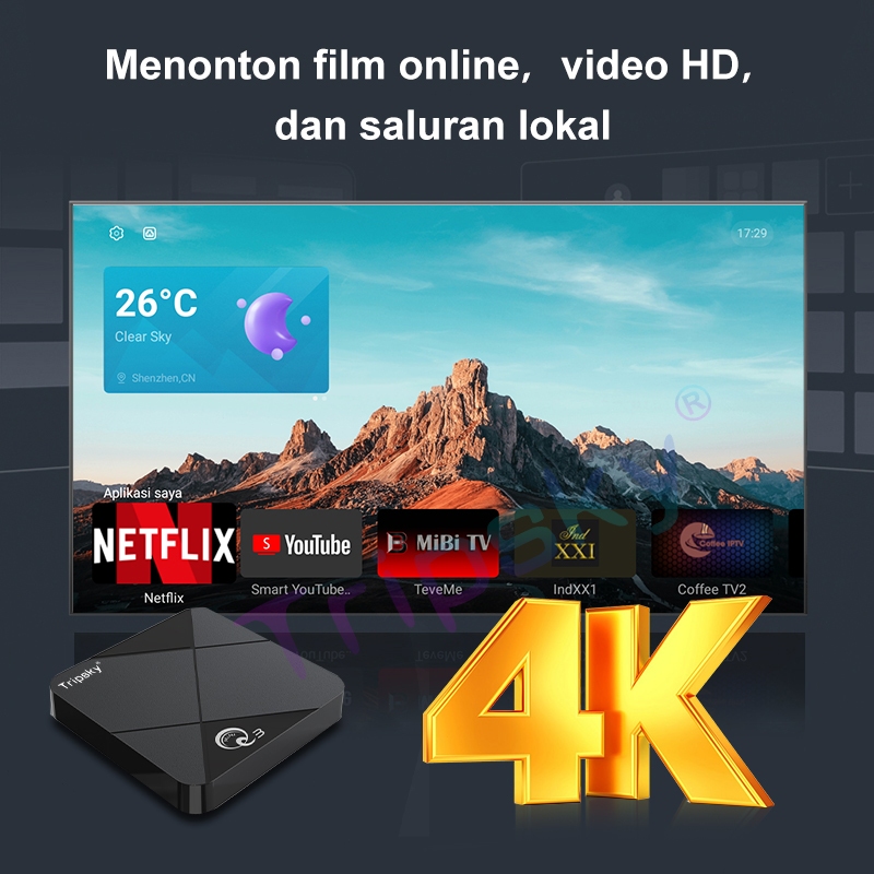 Cuci Gudang Tripsky Android Tv Box Miniq3 Ram 16Gb Rom 256Gb Android 14 Os 4K Hd Smart Tv Box Unlock