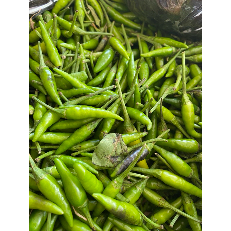 

cengek hijau 100gram