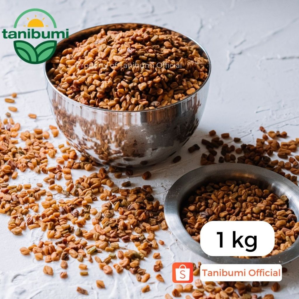 

1Kg | Klabet | Methi | Pembesar Payudara | Pelangsing Alami | Fenugreek Premium| Hulbah Premium Impor