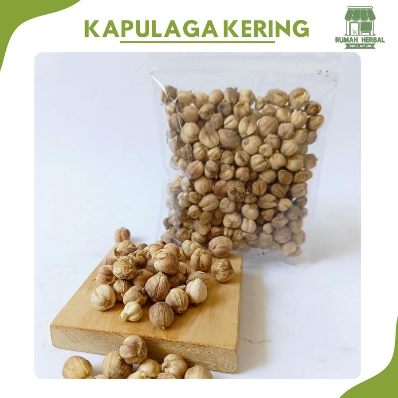 

Kapulaga Kering 100 Gram Kualitas Super