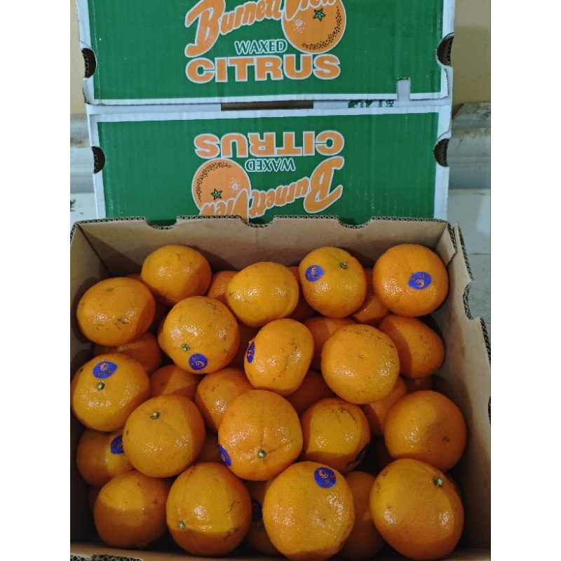 

Jeruk murcot Australia 1 kg