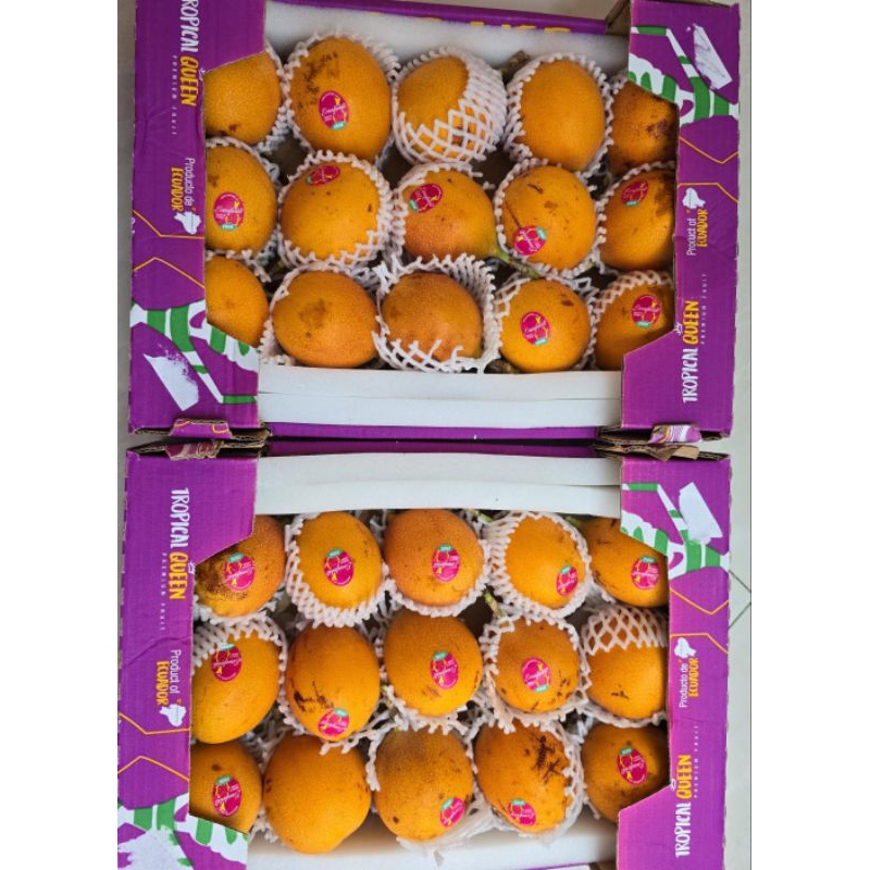 

Markisa ekuador 1 box