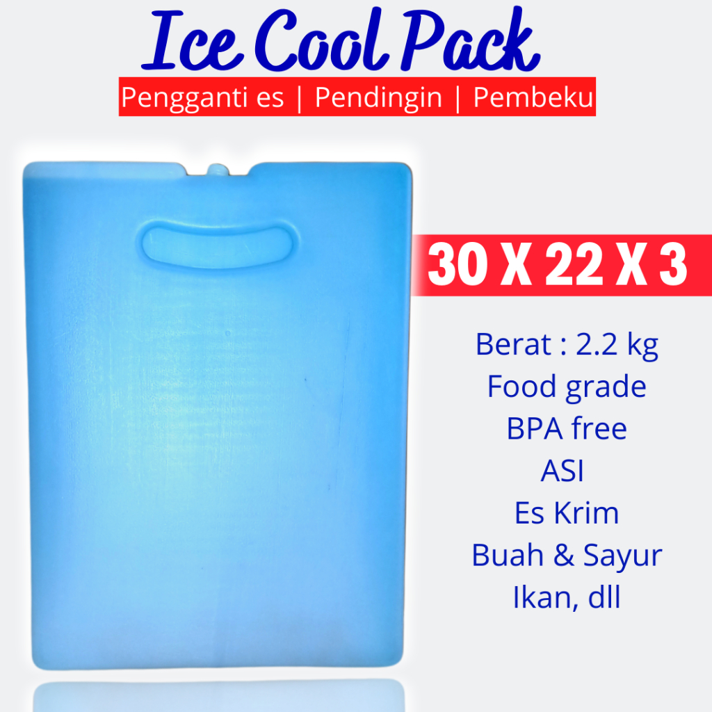 ICE PACK BESAR JUMBO 30X22 - ICE PACK 30 X 22 TERMURAH - PENDINGIN ES KRIM BOX