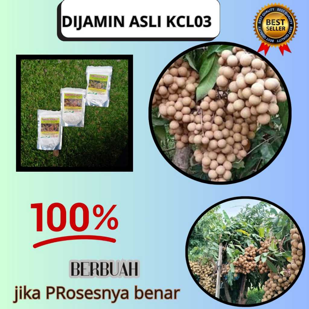 Booster kelengkeng kcl03 murni,Booster kelengkeng 250gr, Booster kelengkeng murni