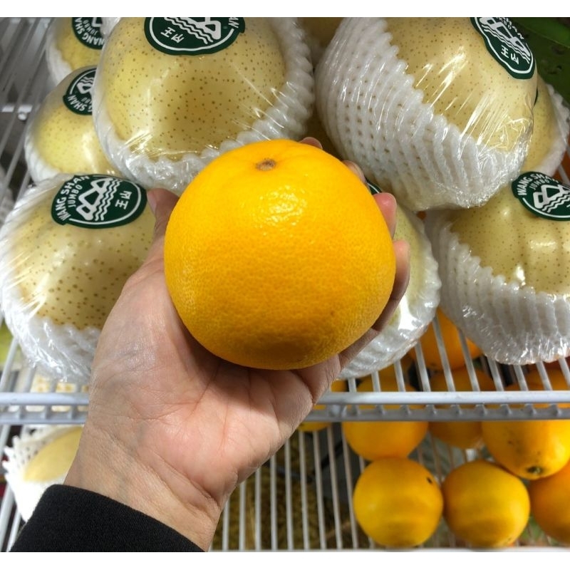 

Jeruk Sunkist Afrika 1 kg