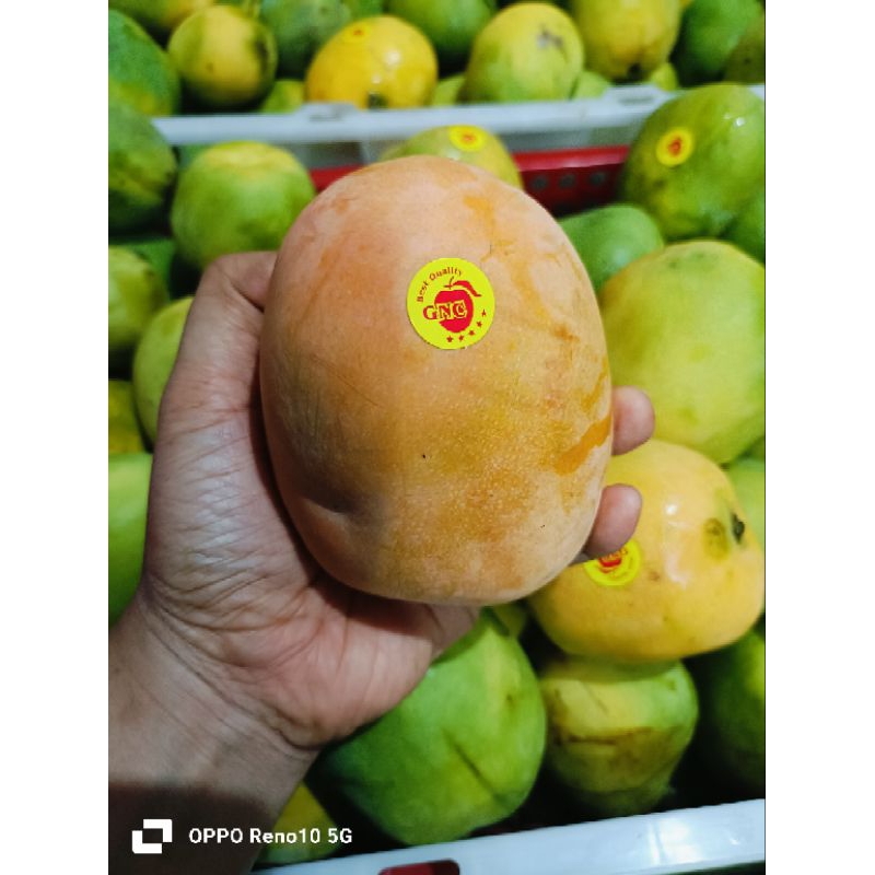 

Mangga gedong gincu per 1kg