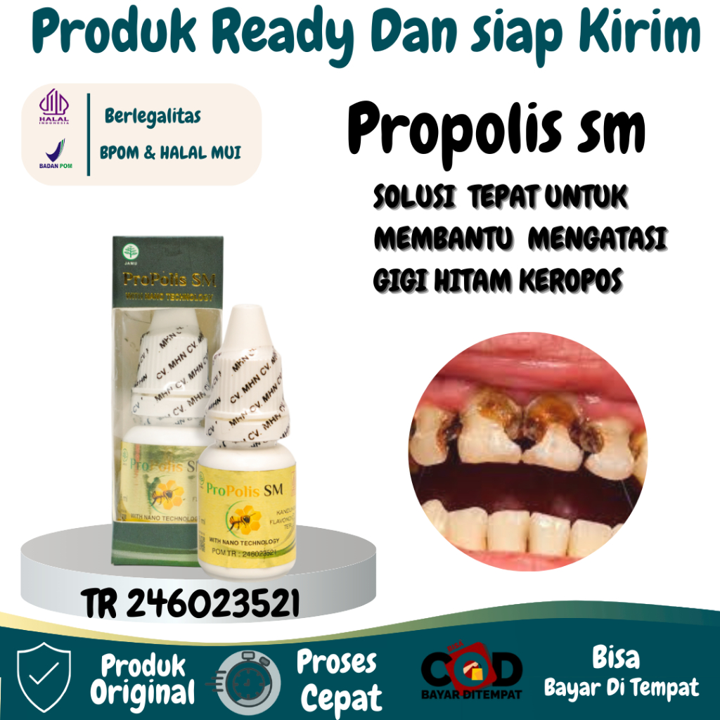 ProPolis sm Obat Herbal Gigi Rusak Dan Hitam Obat Gigi Keropos Obat Sakit Gigi Anak Dan Dewasa Obat 